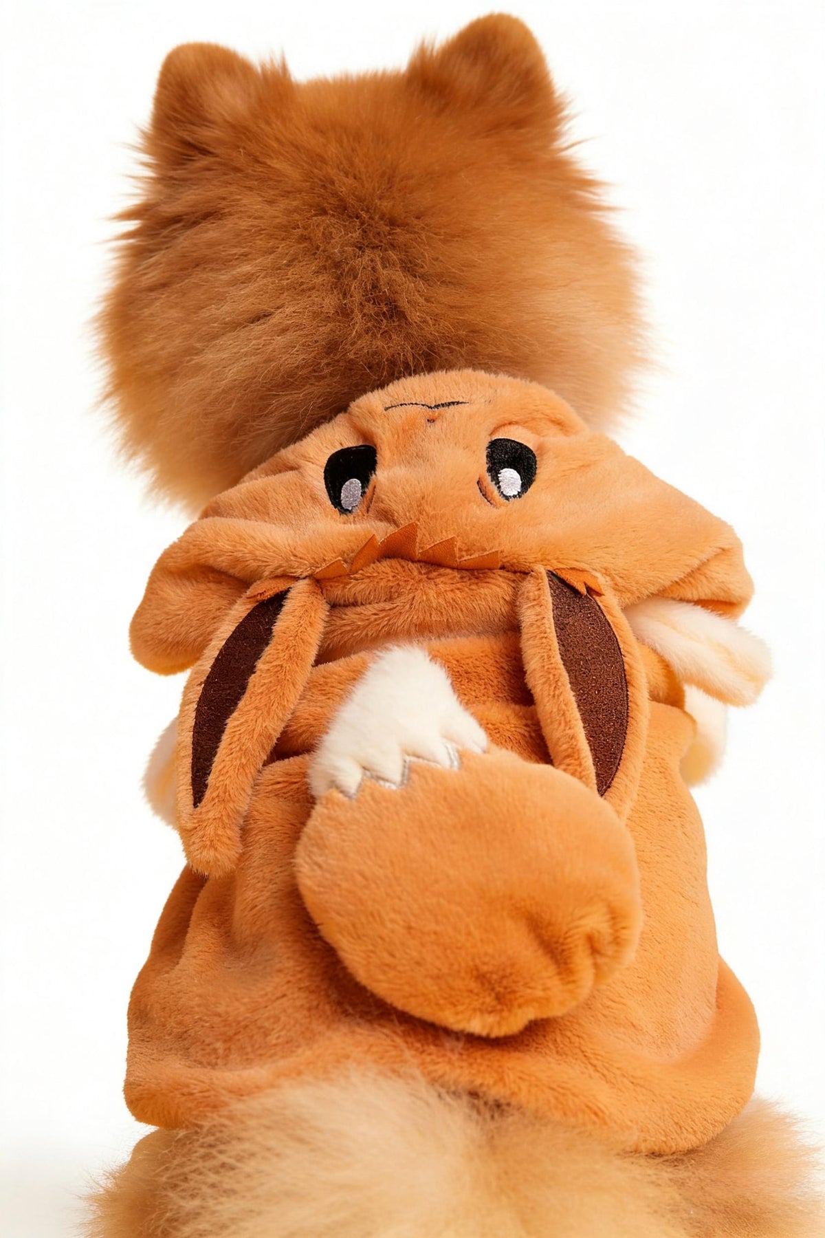 Pokemon Dog/cat Costume