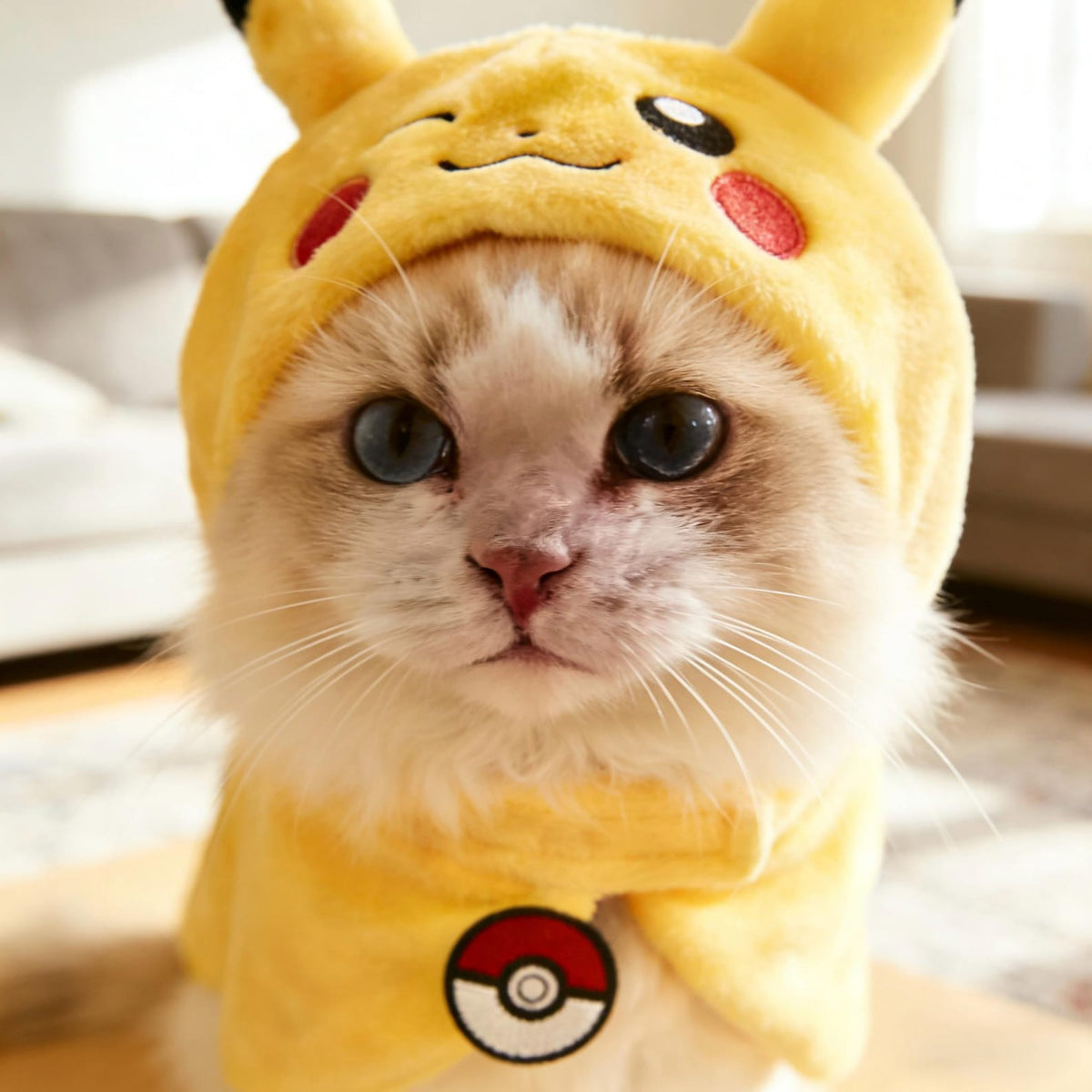Pokemon Dog/cat Costume