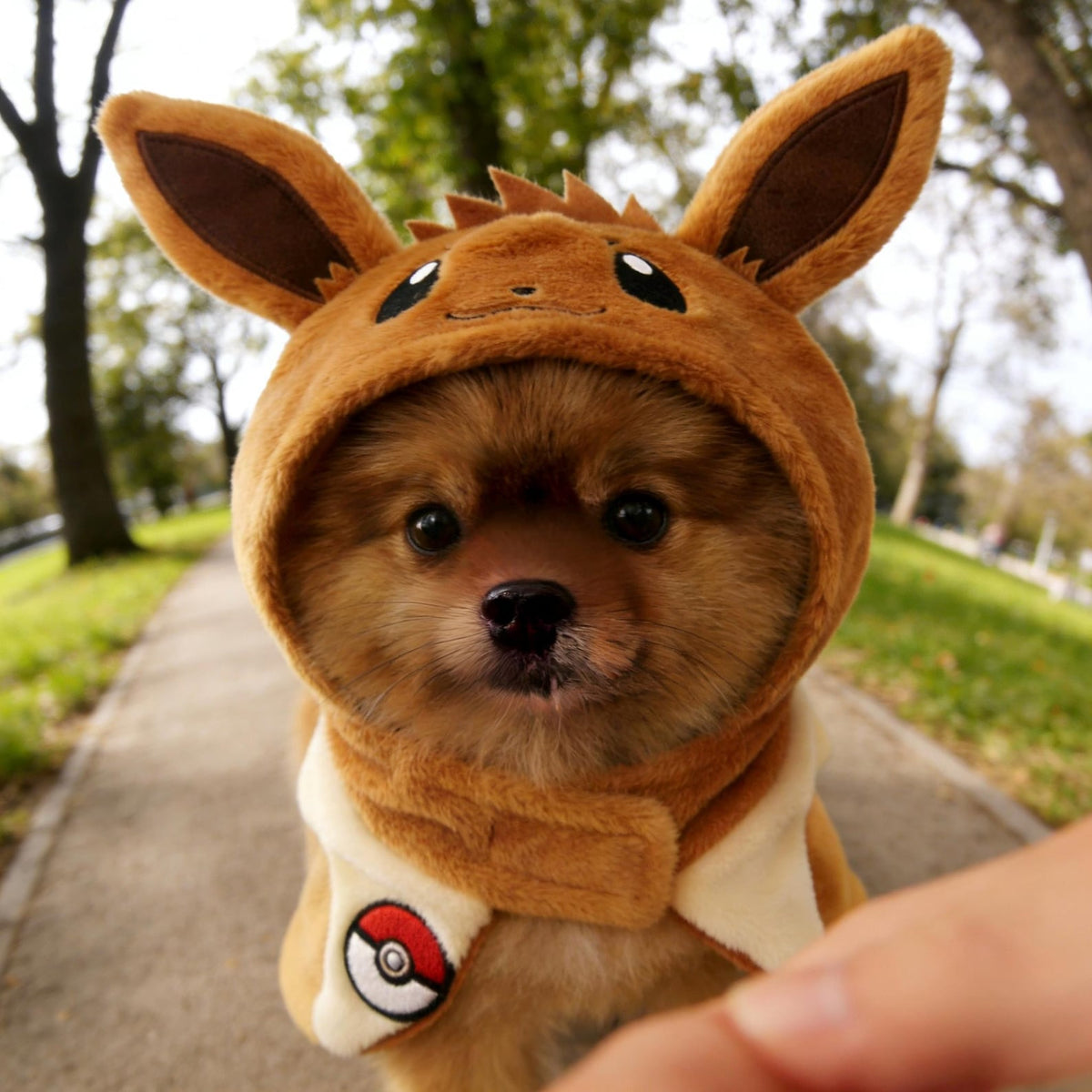 Pokemon Dog/cat Costume